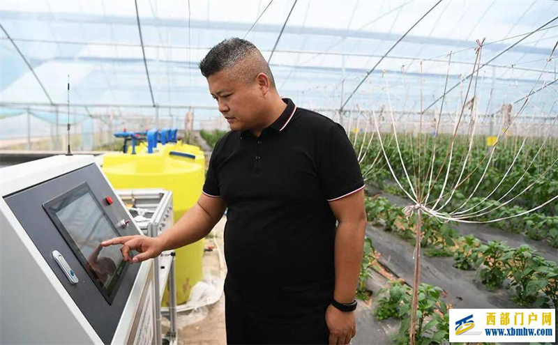 重庆奉节:设施蔬菜助力乡村振兴(图1) 重庆奉节:设施蔬菜助力乡村振兴(图1)