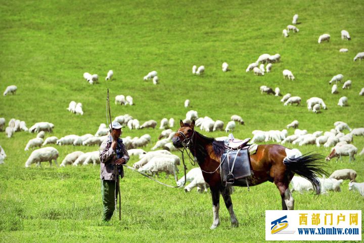 呼伦贝尔旅游攻略!,呼伦贝尔经典南北线路推荐(图10) 呼伦贝尔旅游攻略!,呼伦贝尔经典南北线路推荐(图10)