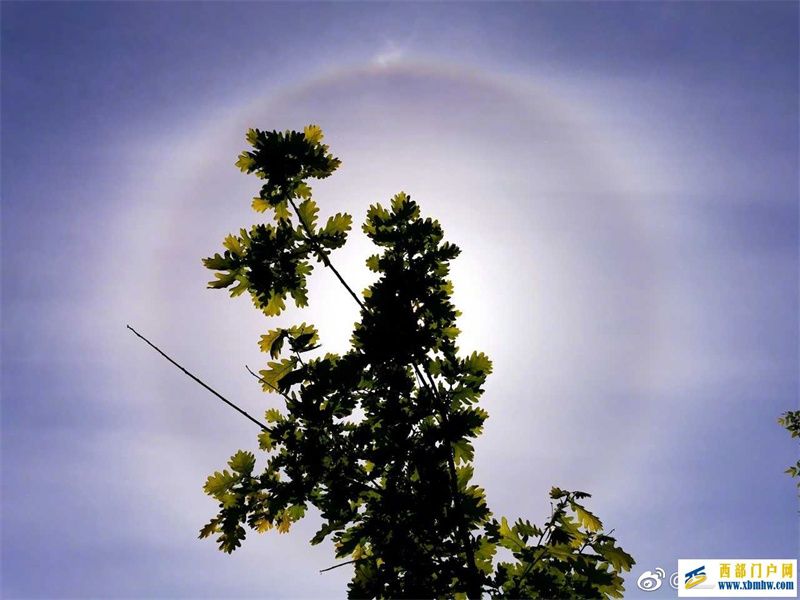 新疆阿勒泰出现日晕奇观(图1) 新疆阿勒泰出现日晕奇观(图1)