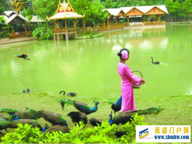 西双版纳旅游攻略——出发前必看指南(图2) 西双版纳旅游攻略——出发前必看指南(图2)