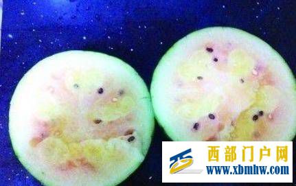 形似哈密瓜,比哈密瓜更沙甜,价格比哈密瓜还亲民,网友:看内涵(图2) 形似哈密瓜,比哈密瓜更沙甜,价格比哈密瓜还亲民,网友:看内涵(图2)