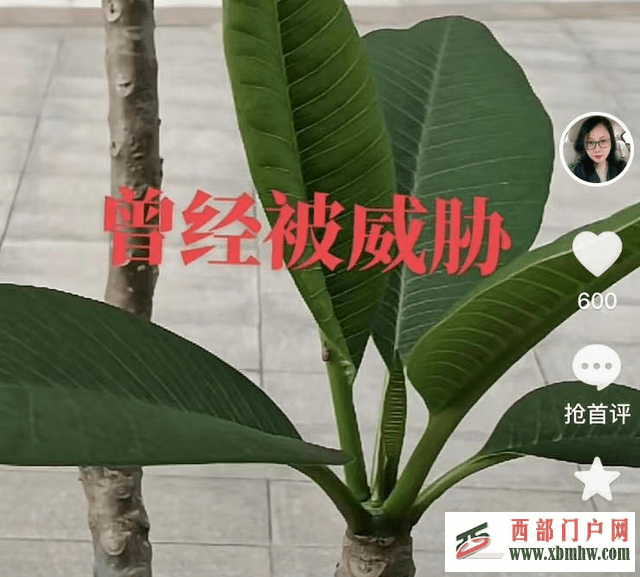 北海舅舅被胁迫?北海舅妈继续起哄,网友:都是装出来的!(图2) 北海舅舅被胁迫?北海舅妈继续起哄,网友:都是装出来的!(图2)