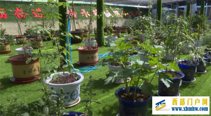 宝鸡麟游:建设百草科普园弘扬中医药文化(图1) 宝鸡麟游:建设百草科普园弘扬中医药文化(图1)