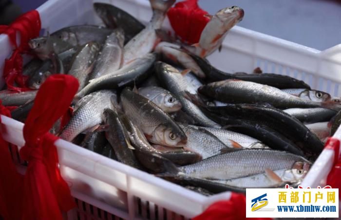 内蒙古达里湖冬捕旅游季启幕 沉浸式体验渔猎盛宴(图1) 内蒙古达里湖冬捕旅游季启幕 沉浸式体验渔猎盛宴(图1)