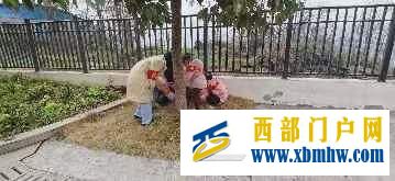 刀坝镇第二幼儿园“学雷锋”活动(图3) 微信图片_20240311110812.jpg