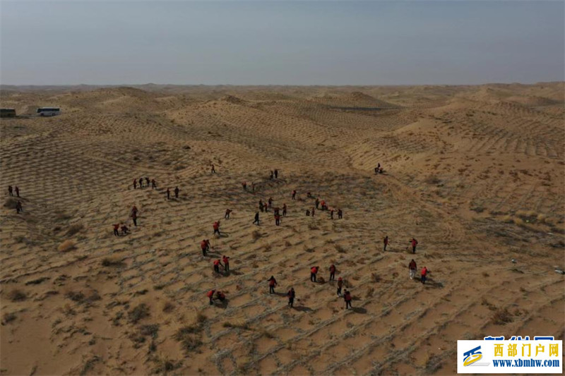 “植”此新绿——多地植树节活动扫描(图1) “植”此新绿——多地植树节活动扫描(图1)