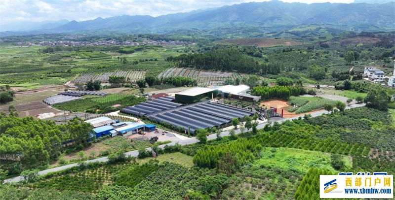 “山上种药 山下制药 山中康养”——广西金秀打造“瑶医药之都”(图1) “山上种药 山下制药 山中康养”——广西金秀打造“瑶医药之都”(图1)