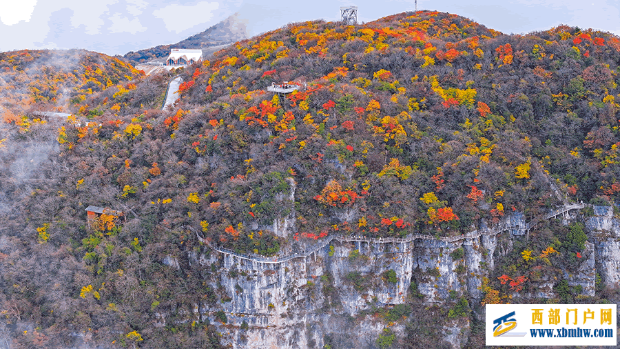 汉中龙头山：千枝万叶披霞锦 秋色斑斓碧云边(图2)