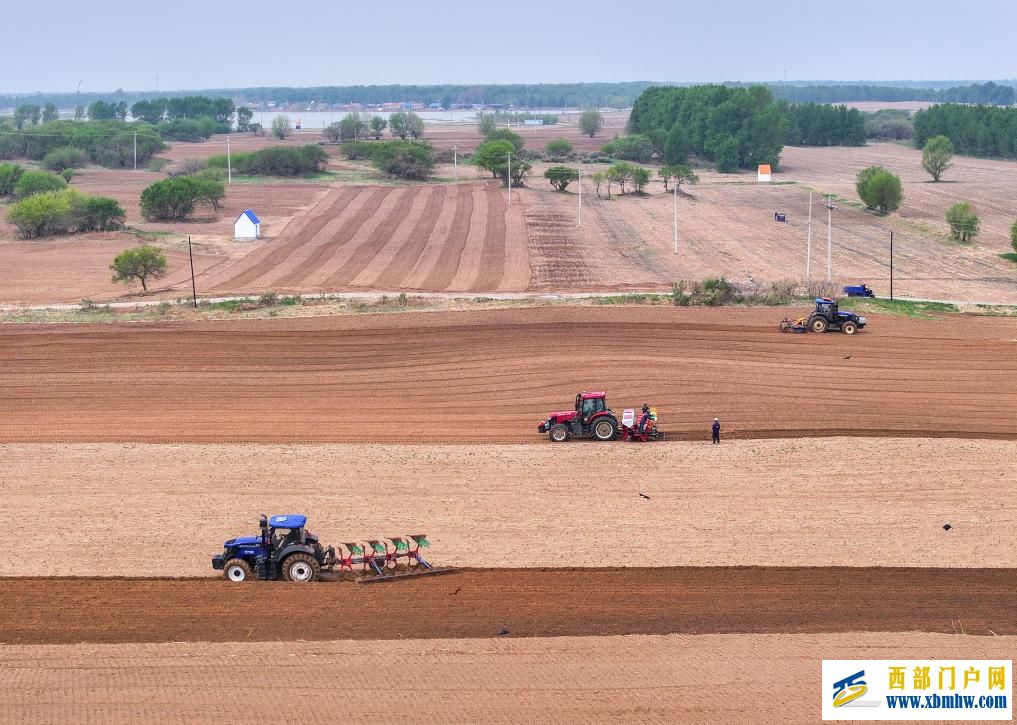 内蒙古东部粮仓通辽:2000万亩玉米播种正当时(图2) 内蒙古东部粮仓通辽:2000万亩玉米播种正当时(图2)