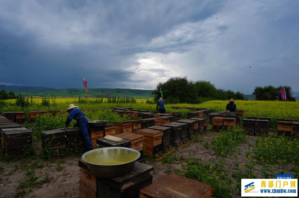 追花人家 甜在田间(图5)