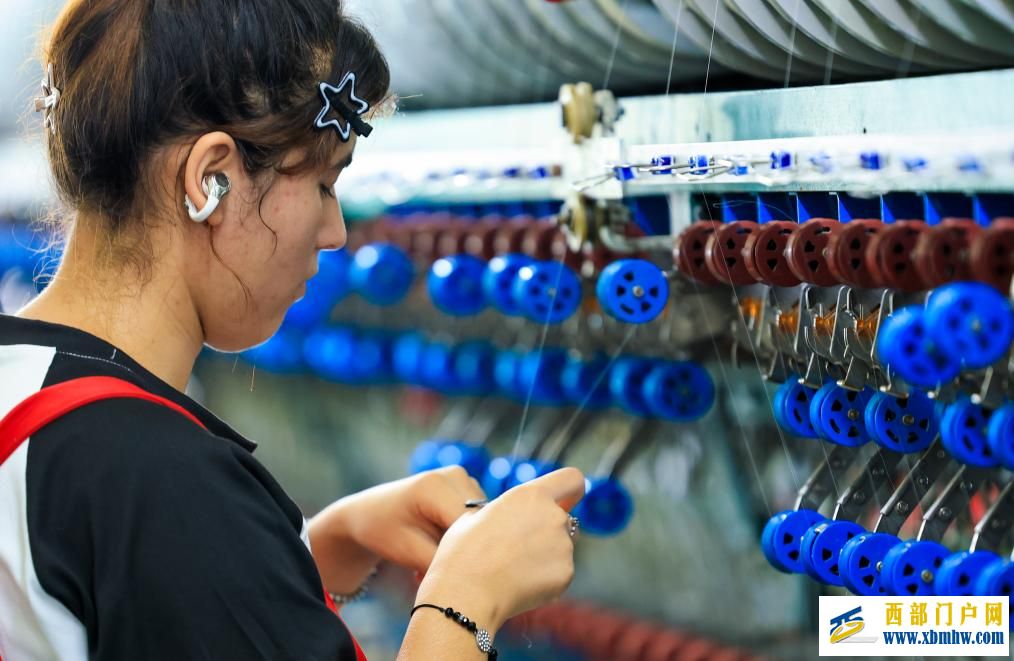 新疆乌苏：桑蚕茧产业拓宽乡村振兴新“丝”路(图8)