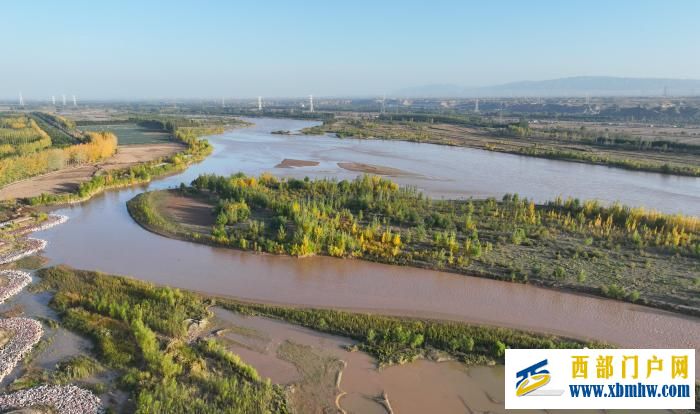 宁夏中卫:黄河岸边秋意浓(图6) 6.jpg