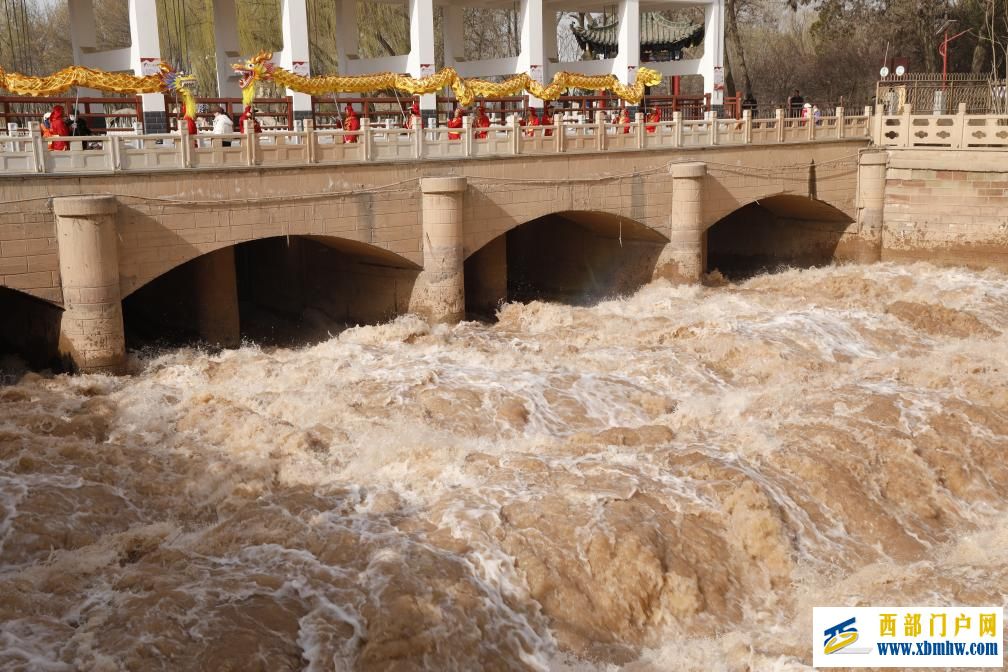 宁夏：引黄灌区正式开闸 河湖田野“喝饱”春水(图2)