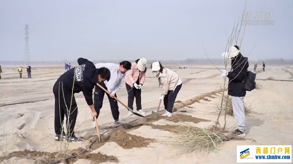 新疆和田市：不负好春光 添绿正当时(图1)