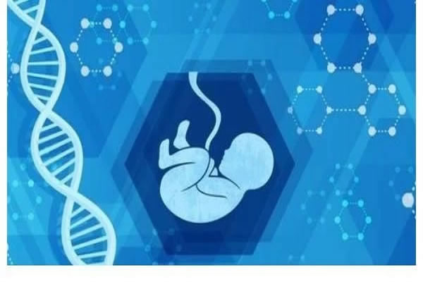 三代试管婴儿 三代试管婴儿