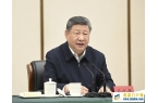 习近平在河北雄安新区考察